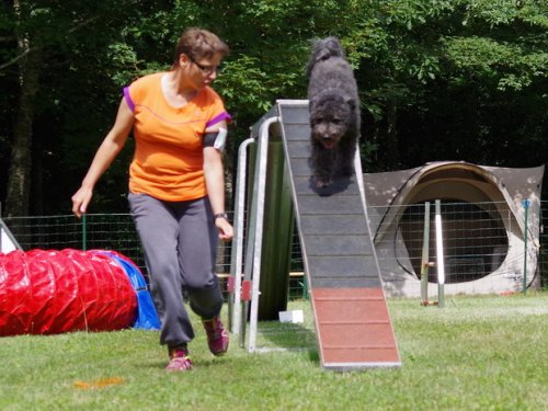 Concours d'agility, Sanvignes les Mines, 6 août 2016