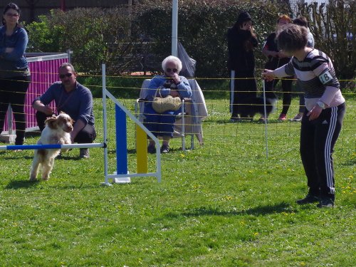 Concours d'agility, Barges, 9 avril 2023