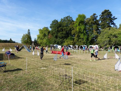 Concours d'agility de Fontaines, le 16 septembre 2018