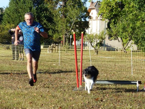 Concours d'agility, Fontaines 11 septembre 2022