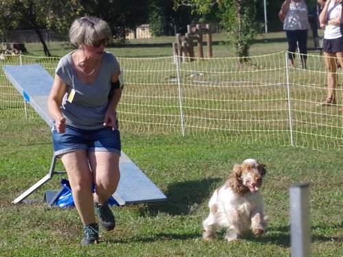 Concours d'agility, Fontaines, 9 et 10 septembre 2023