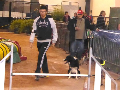 Concours d'agility en salle à la Nef au Creusot le 12 novembre 2017