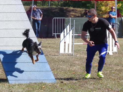 Concours d'agility, Fontaines 11 septembre 2022