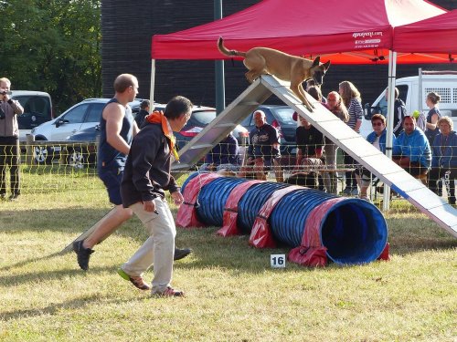 Concours d'agility de Fontaines, le 16 septembre 2018