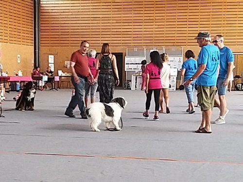 Forum des associations, 31 août 2019