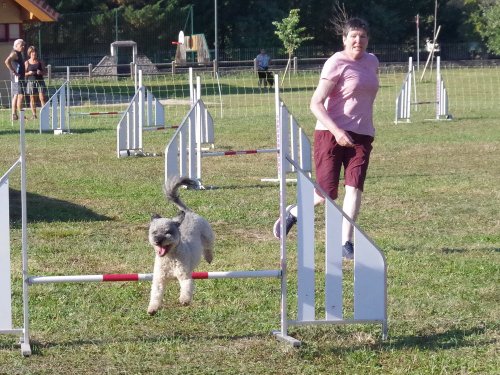 Concours d'agility, Fontaines 9 et 10 septembre 2023