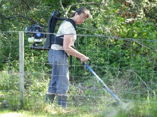 Journée travaux du 2 juin 2019