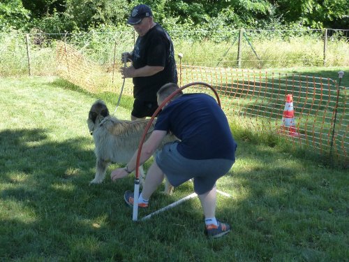 Education canine, juin 2022