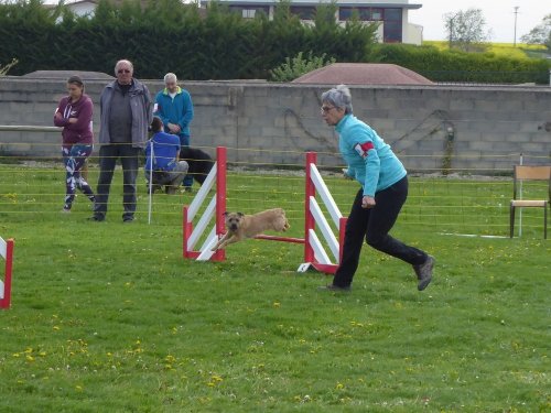 Concours d'agility, Barges, 21 avril 2019