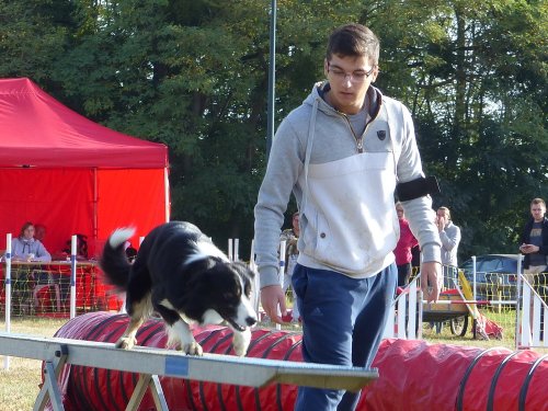 Concours d'agility de Fontaines, le 16 septembre 2018