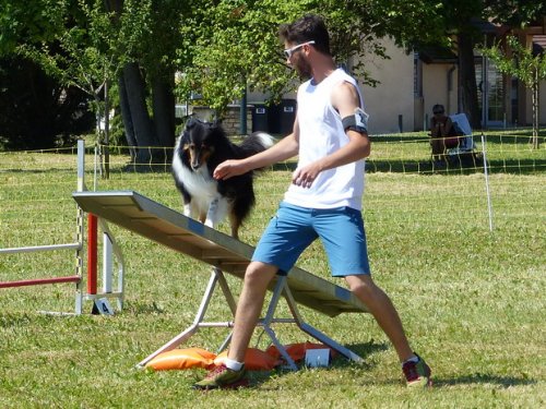 Concours d'agility de Fontaines, le 28 mai 2017