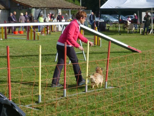 Concours d'agility, Autun, 10 septembre 2017