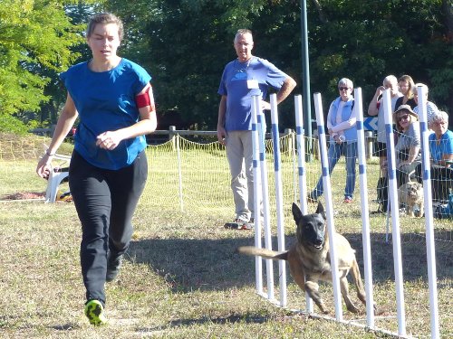 Concours d'agility, Fontaines 11 septembre 2022