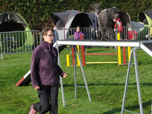 Concours d'agility, Autun, 27 septembre 2015