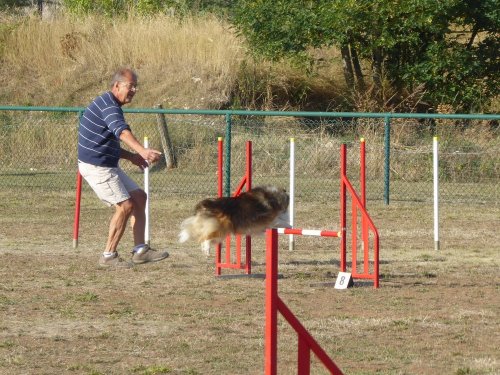 Concours d'agility, Dijon, 22 septembre 2019