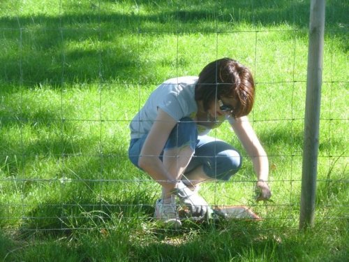 Journée travaux du 18 juin 2017