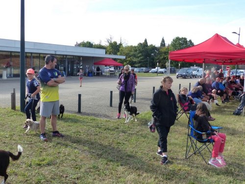 Concours d'agility de Fontaines, le 16 septembre 2018