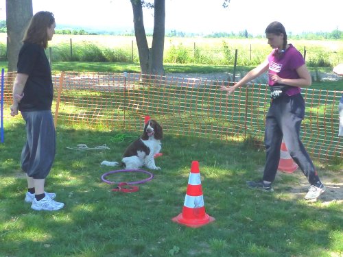 Education canine, juin 2022