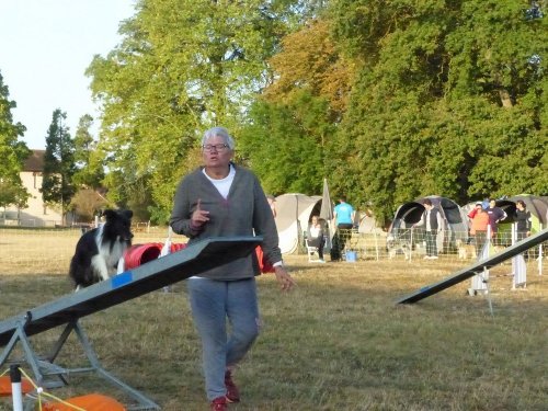 Concours d'agility de Fontaines, le 15 septembre 2019