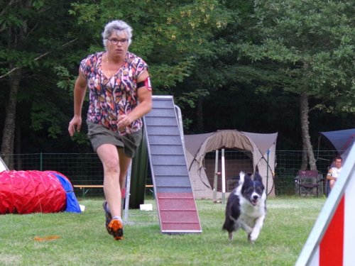 Concours d'agility, Sanvignes les Mines, 6 août 2016