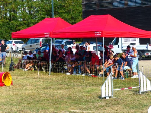 Concours d'agility de Fontaines, le 16 septembre 2018