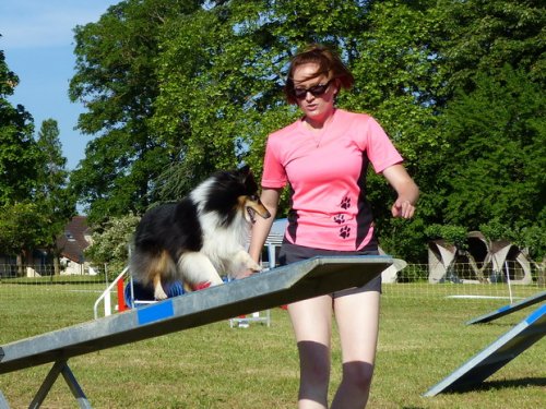 Concours d'agility de Fontaines, le 28 mai 2017