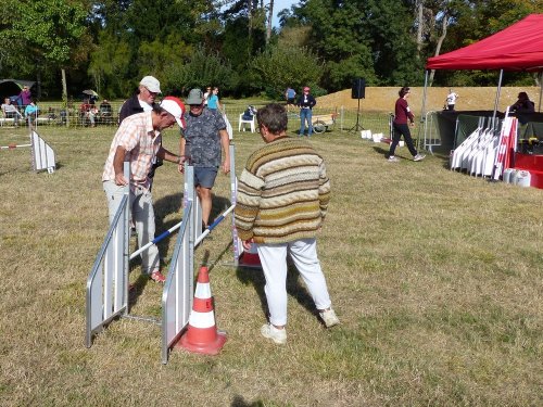 Concours d'agility de Fontaines, le 16 septembre 2018