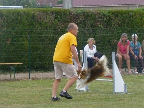 Concours d'agility, Montbard, 25 juin 2017