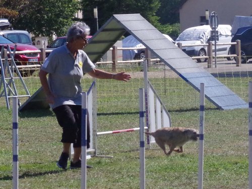 Concours d'agility, Fontaines, 9 et 10 septembre 2023