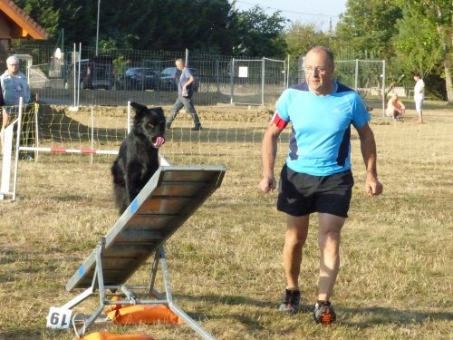 Concours d'agility de Fontaines, le 15 septembre 2019