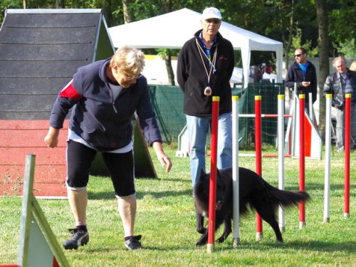 Concours d'agility, Sanvignes les Mines, 6 août 2016