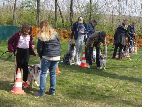 Les cours d'éducation, avril 2019