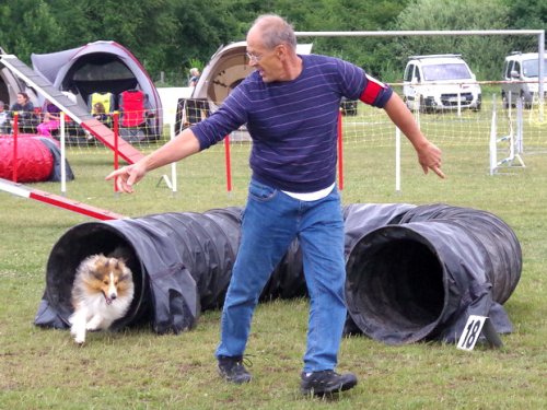 Concours d'agility, Magny sur Tille, 2 juillet 2017