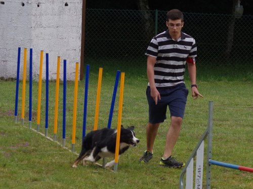 Concours d'agility, Daix, 17 juin 2018