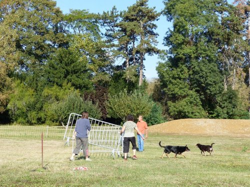Concours d'agility de Fontaines, le 16 septembre 2018
