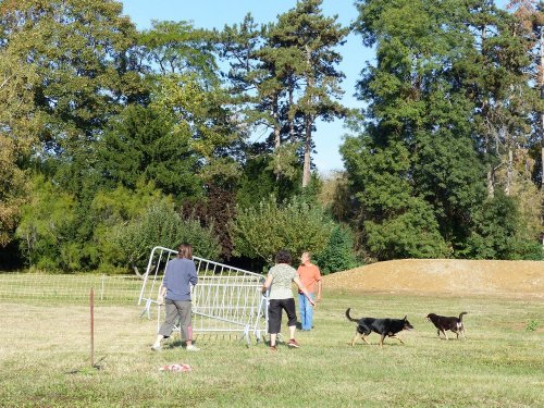 Concours d'agility de Fontaines, le 16 septembre 2018