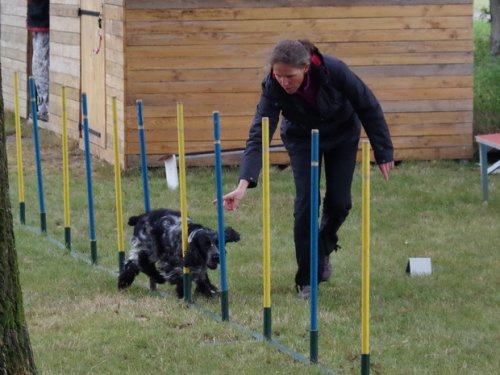 CAESC et Pass-agility Fontaines 17 septembre 2016