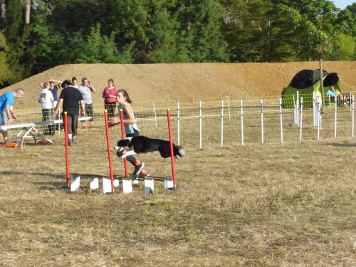 Concours d'agility de Fontaines, le 15 septembre 2019