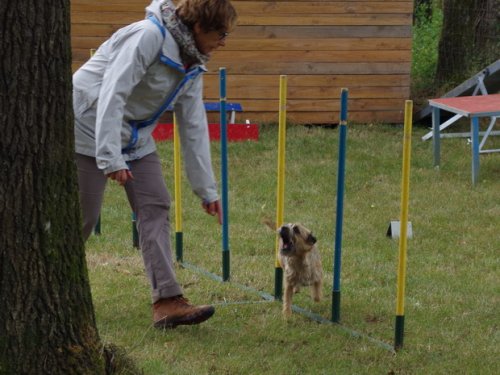 CAESC et Pass-agility Fontaines 17 septembre 2016