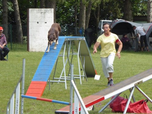 Concours d'agility, Daix, 17 juin 2018