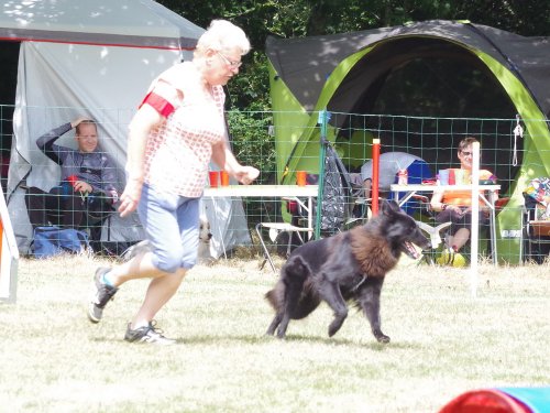 Concours d'agility, Sanvignes, 5 août 2017