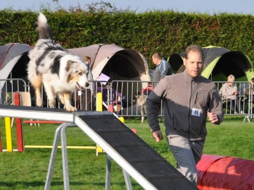 Concours d'agility, Autun, 27 septembre 2015