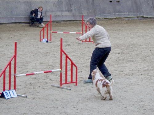 Concours d'agility, Dijon 8 décembre 2024