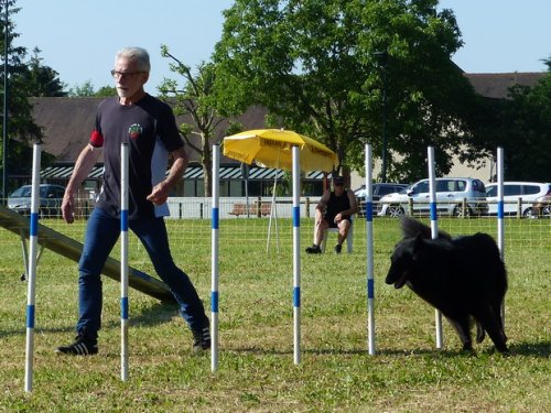 Concours d'agility de Fontaines, le 28 mai 2017