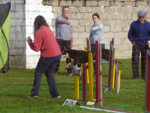 Concours d'agility, Autun, 10 septembre 2017