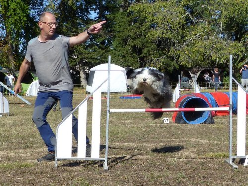 Concours d'agility, Fontaines 11 septembre 2022