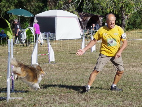 Concours d'agility, Fontaines 11 septembre 2022