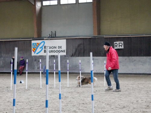 Concours d'agility, Dijon 8 décembre 2024