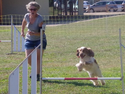 Concours d'agility, Fontaines, 9 et 10 septembre 2023