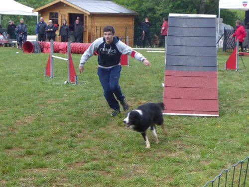 Concours d'agility, Messigny Vantoux, 12 et 13 mai 2018